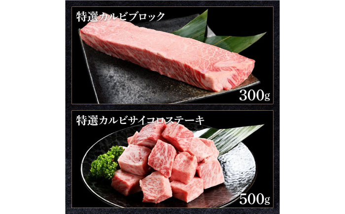 熟成肉 土佐和牛 詰め合わせ8種Aセット 【株式会社LATERAL】 [ATAY080]