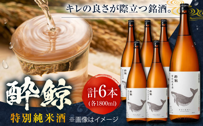 酔鯨 特別純米酒 1800ml 6本 日本酒 地酒 【近藤酒店】 [ATAB010]