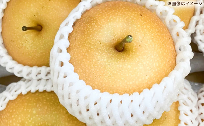 【先行予約】 新高梨 秀 約2kg（2玉） 〈2026年9月20日～2026年10月末発送〉 【川渕果樹園】 [ATHX005]