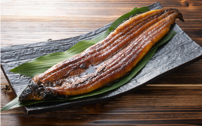 【6回定期便】 極上国産うなぎ四万十桜 蒲焼き2尾 たっぷり大サイズ / 国産 高知 四万十 うなぎ ウナギ 鰻 蒲焼き うな重 惣菜 贅沢 【有限会社もりた】 [ATHE008]