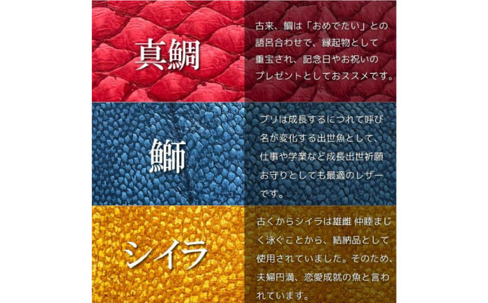 【Golden Yellow】Ocean Leather IDパスケース【マダイ】【興洋フリーズ株式会社】 [ATBX080-02]