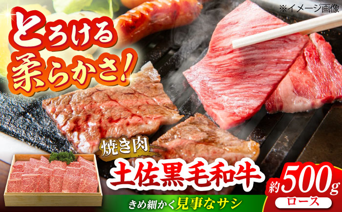 土佐黒毛和牛　ロース　焼き肉　約500g【（有）蔵多堂】 [ATAE011]