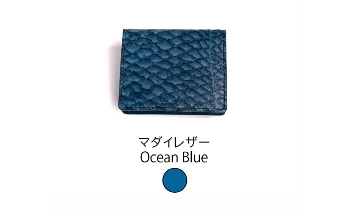 【Ocean Blue】Ocean Leather BOXコインケース【マダイ】【興洋フリーズ株式会社】 [ATBX068-02]