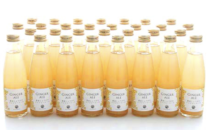 黄金しょうがのジンジャーエール30本 / 土佐生姜 スパークリング ジンジャーエール 爽やか【はるのTERRACE】 [ATAV003]