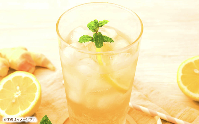 ジンジャーエール3種6本セット / 土佐生姜 スパークリング ジンジャーエール 爽やか【はるのTERRACE】 [ATAV004]