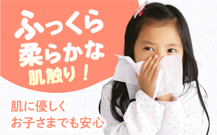 【2回定期便(3ヵ月に1回お届け)】 抗ウイルス 抗菌成分 (VB) 配合 ふっくら柔らか 贅沢3枚重ねポケットティッシュ 320個 (1個:7組(21枚)入り) 【河野製紙株式会社】[ATAJ018]