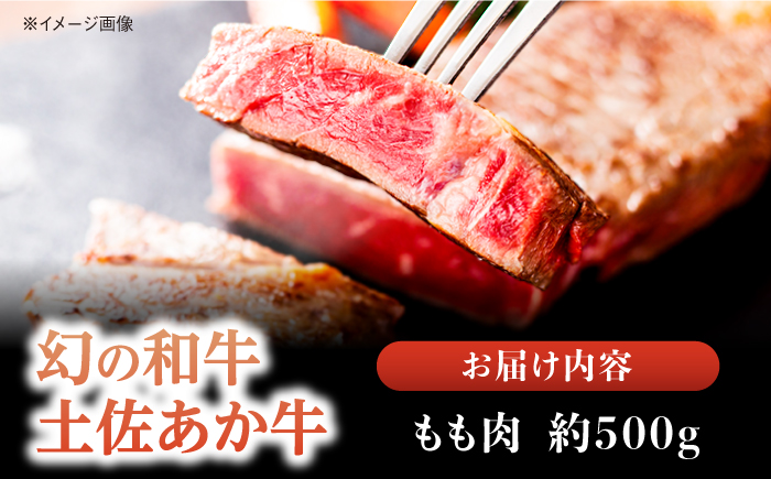 土佐あかうし 塊肉ステーキ 約500g（もも）【株式会社Dorago】 [ATAM046]