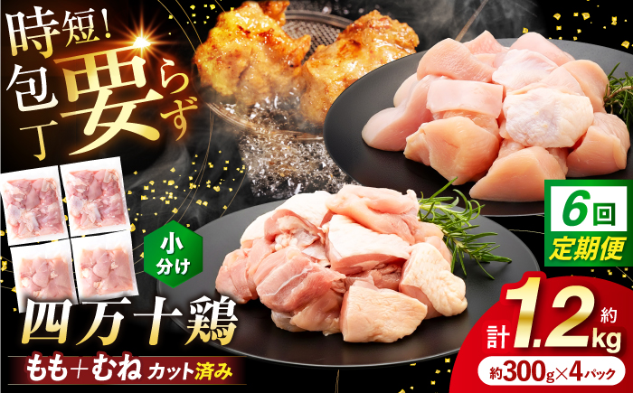 【6回定期便】四万十鶏「もも肉」「むね肉」 切身 計約1.2kg（約300g×4パック）カットでかんたん時短セット / 四万十鶏 もも肉 むね肉 小分け 冷凍 カット 時短 【三栄ブロイラー販売株式会社】 [ATDP026]