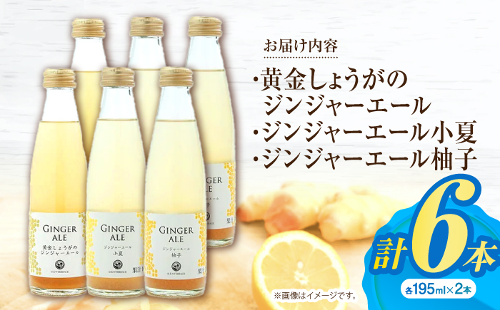 ジンジャーエール3種6本セット / 土佐生姜 スパークリング ジンジャーエール 爽やか【はるのTERRACE】 [ATAV004]