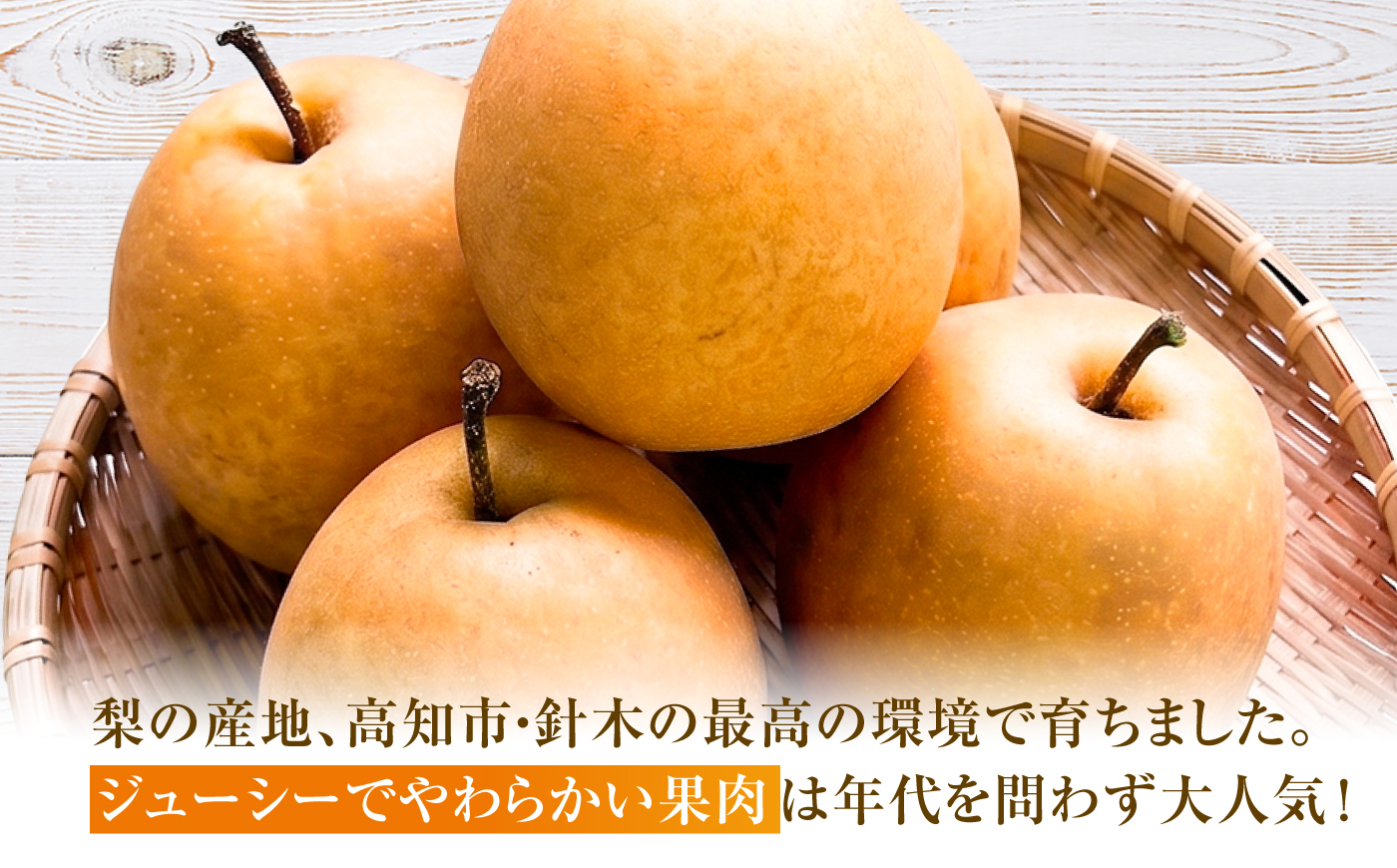 【先行予約】 王秋 約3kg（6～8玉） 〈2026年11月上旬～2026年12月10日〉 / 高知 王秋 梨 和梨 果物 フルーツ デザート 【川渕果樹園】 [ATHX007]