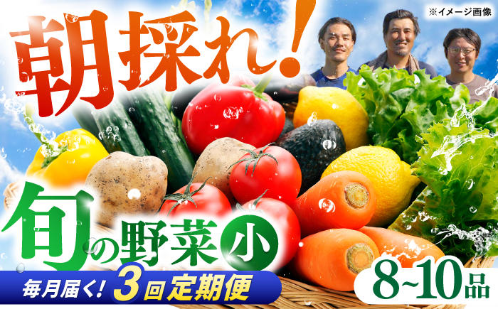 【3回定期便】 土佐の太陽をいっぱいに浴びた旬の野菜セット小 【土佐野菜】 [ATBA005]
