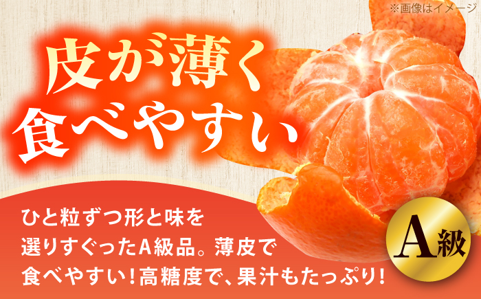 【先行予約】＜サイズおまかせ＞高知県産温州みかんA級品 約5kg ＜2026年11月上旬～2026年12月下旬頃発送＞/ みかん 柑橘 オレンジ 高知県 温州 【株式会社にしごみ】 [ATEA009]