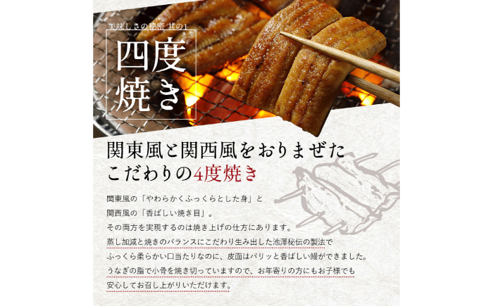 完全無投薬 仁淀川の伏流水で育てた贅沢うなぎ蒲焼き 中 (約150g×4尾 ) ギフトセット 池澤鮮魚 【池澤鮮魚オンラインショップ】 [ATBE019]