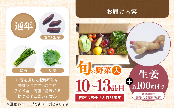 土佐の太陽をいっぱいに浴びた旬の野菜生姜約100gのセット「大」【土佐野菜】 [ATBA004]