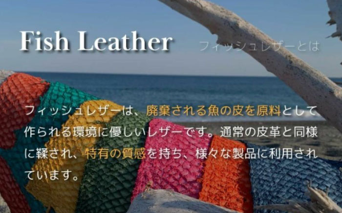 【Ivory Black】Ocean Leather BOXコインケース【ブリ】【興洋フリーズ株式会社】 [ATBX069-01]