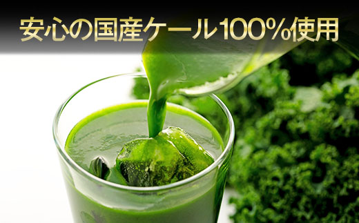 遠藤青汁【生】冷凍1箱（100ｇ×28袋） | 健康 美容 乳酸菌 ケール