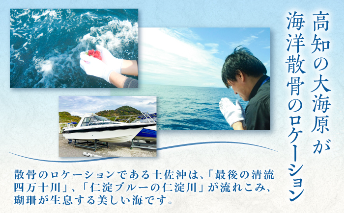 愛猫のための代行海洋散骨供養 (粉骨・散骨証明書・ブックレット付) / ペット供養 愛猫供養 猫 ねこ ネコ 海 埋葬 自然葬 葬儀 お別れ 弔い サービス 代行 委託 メモリアル 遺骨 粉骨 船 プラン 【龍馬カンパニー株式会社】 [ATID001]