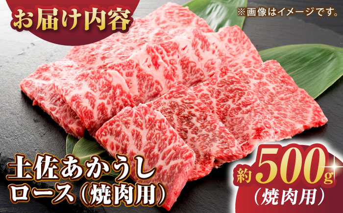 土佐あかうし ロース (焼肉用) 約500g 幻の和牛 【グレイジア株式会社】 [ATAC030]