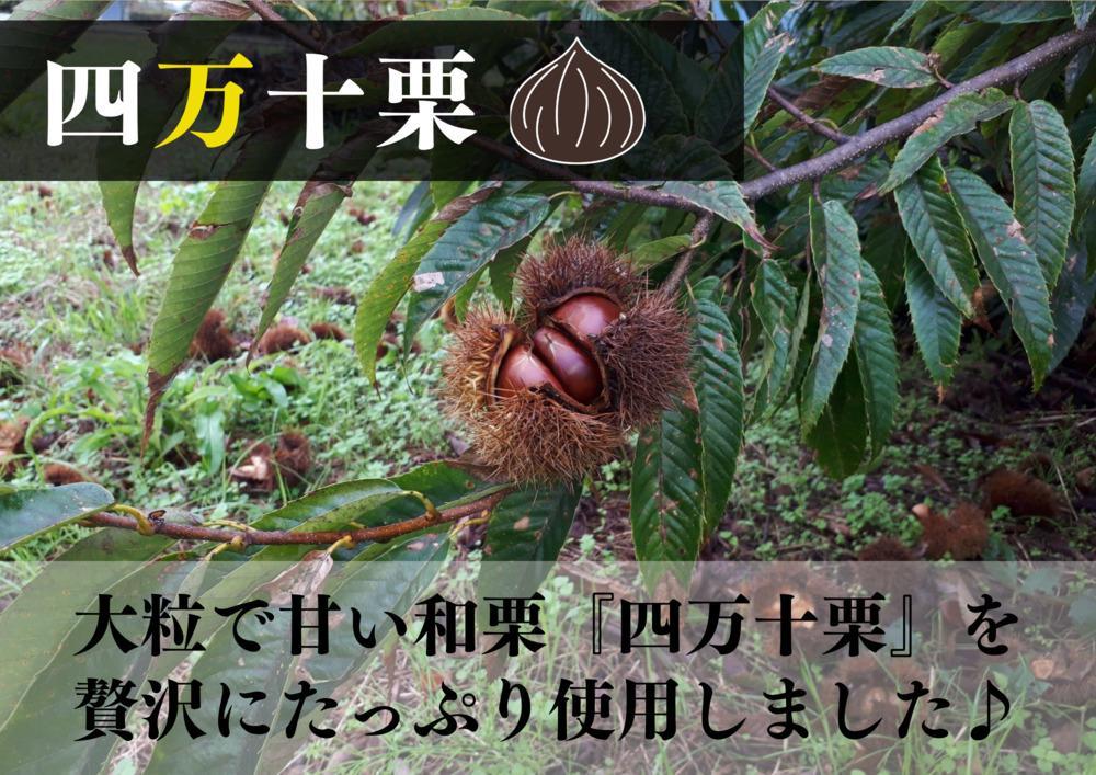 四万十和栗と焼き芋の生カヌレ（添加物不使用） 栗カヌレ４個 焼き芋カヌレ４個