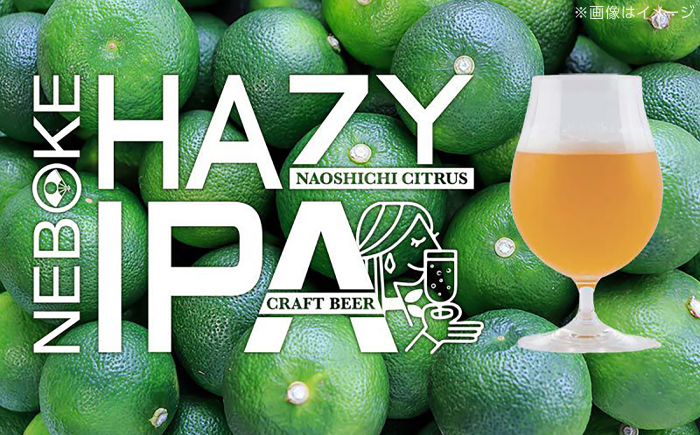 直七クラフトビール NEBOKE HAZY IPA（330ml×6本） / 高知 土佐 酒 直七 すだち 柑橘 ビール お土産 プレゼント 【株式会社土佐料理司】 [ATAD085]