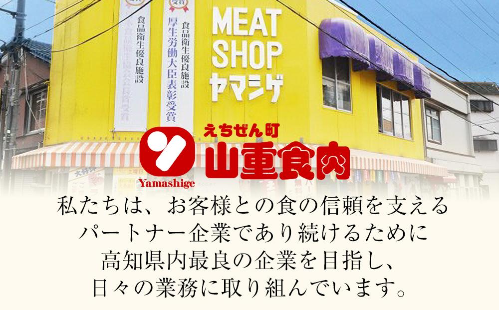 高知県産　牛肉切り落とし　炒め物・すき焼き用　約600g【小分け　約300ｇ×2】｜山重食肉