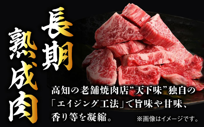 エイジング工法 熟成肉 土佐あかうし 特選ヒレ サイコロステーキ 約500g 冷凍 【株式会社LATERAL】 [ATAY018]