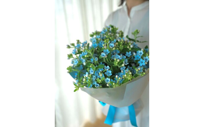 【定期便6回】ブルースター花束初回花瓶付き  / ブルースター お花 フラワー 青い花 高知県産 定期便 希少品種 サムシングブルー リビング インテリア 切り花 花瓶付き 癒やし ギフト【株式会社tomoni】 [ATCG048]