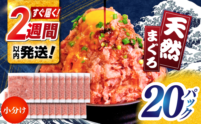 天然まぐろ ネギトロ たれ付 約65g×20セット /  まぐろたたき丼 小分け 個包装 冷凍 ねぎとろ まぐろ 鮪 マグロ 高知 海鮮 海鮮丼 天然 【株式会社 七和】 [ATAX032]