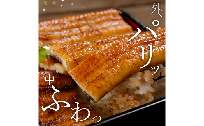 完全無投薬 仁淀川の伏流水で育てた贅沢うなぎ蒲焼き 中 (約150g×5尾 ) ギフトセット 池澤鮮魚 【池澤鮮魚オンラインショップ】 [ATBE020]