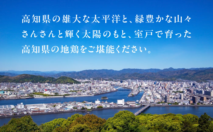 高知の地鶏はちきん地鶏モモ肉 約2kg 【合同会社土佐あぐりーど】 [ATBO001]