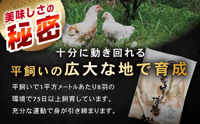 土佐はちきん地鶏ムネ肉 約1kg 【合同会社土佐あぐりーど】 [ATBO028]