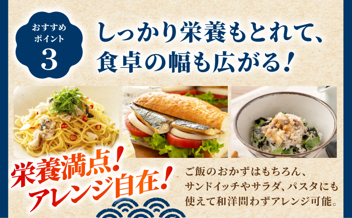 レンチン 塩サバ ハーフカット 10パック/ 小分け 〈嬉しい骨なし〉 脂ののった 鯖 お弁当サイズ サバ 魚 レンジで簡単調理 【興洋フリーズ株式会社】 [ATBX137]