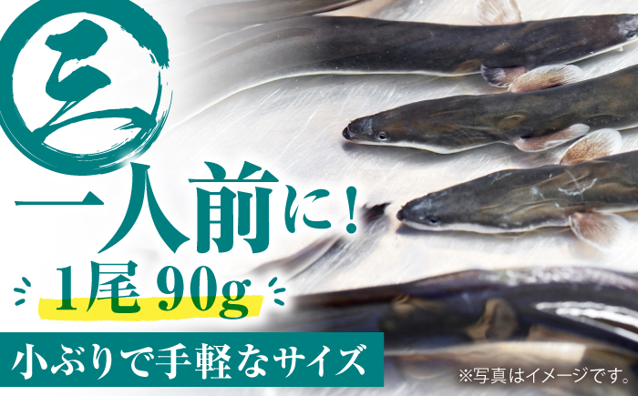 【6回定期便】高知県産 うなぎ蒲焼き 約90g×2尾 タレ付き 【株式会社 四国健商】 [ATAF147]