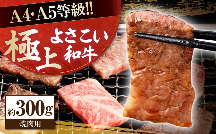 高知県産 よさこい和牛 焼肉用 約300g 牛肉 国産 焼き肉 BBQ A4 A5 【(有)山重食肉】 [ATAP061]