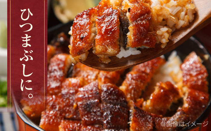 高知産 うなぎ 蒲焼き 3尾入（約250g×3尾） / 国産 うなぎ 鰻 ウナギ 蒲焼 味付き 【池澤本店】 [ATAU007]