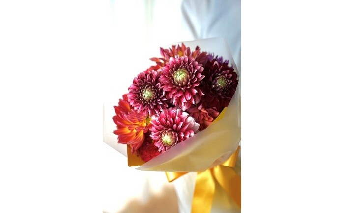 【12回定期便】ダリア花束初回花瓶付き / ダリア お花 フラワー 大輪 花束 定期便 高知 生花 誕生日 ギフト 季節の花 延命剤付き インテリア 華やか 自分へのご褒美【株式会社tomoni】 [ATCG052]