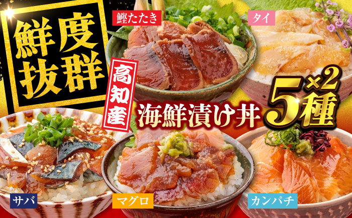 高知の魚5種類が味わえる海鮮漬け丼セット タイ マグロ カンパチ 鰹たたき サバ /各2　【株式会社　七和】 [ATAX019]