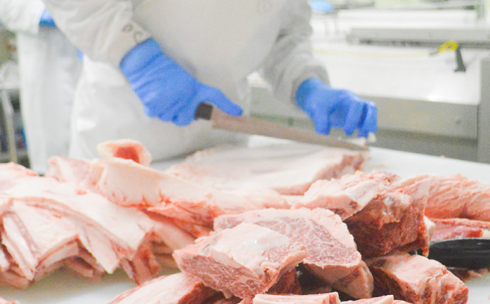 土佐黒牛　切り落し　約500g【高知県食肉センター株式会社】 [ATFC020]