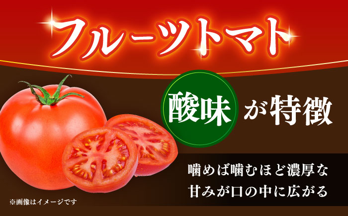 【先行予約】高知市産 ご家庭用フルーツトマト約1kg 〈2025年1月より発送開始〉 【株式会社 堀】 [ATDA007]