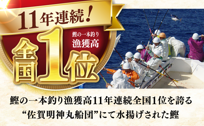 【6回定期便】明神水産 藁焼き鰹 (カツオ) たたき 2袋 (約500g) セット 総計約3kg 【株式会社 四国健商】 [ATAF135]