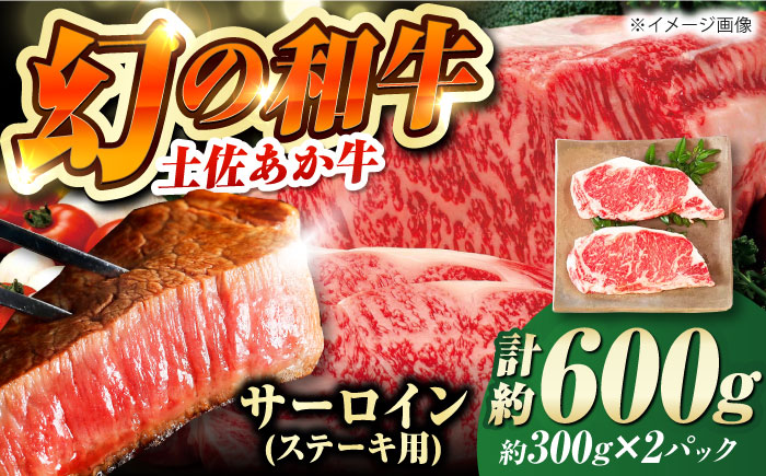 土佐あかうし サーロイン　ステーキ用 約300g×2パック/牛肉 国産 和牛 高知 牛肉 にく【株式会社Dorago】 [ATAM042]