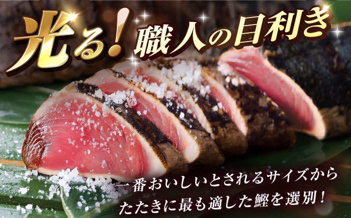 土佐料理司本店 鰹たたき1節セット（2〜3名分） / かつお 鰹 カツオ かつおのたたき カツオのタタキ 高知市 【株式会社土佐料理司】 [ATAD082]