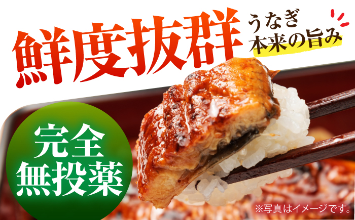 【3回定期便】高知県産 うなぎ蒲焼き 約90g×2尾 タレ付き 【株式会社 四国健商】 [ATAF146]