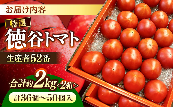 【先行予約】特選 徳谷トマト 約2kg 生産者52番 / トマト フルーツトマト 【フルーツショップオザキ】 [ATAH014]