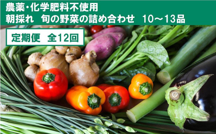 【12回定期便】土佐の太陽をいっぱいに浴びた旬の野菜セット「大」 (12回配送)【土佐野菜】 [ATBA010]