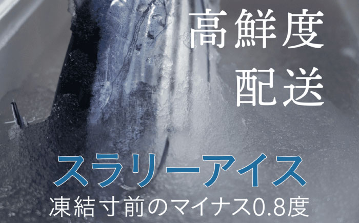 【土佐久礼かつお】 旬凍藁焼きタタキ 3〜4人前（約400g） / 高知 土佐 久礼 かつお カツオ 鰹 たたき タタキ 海鮮 魚 刺身 【株式会社ジャパンダイニング】 [ATHR001]