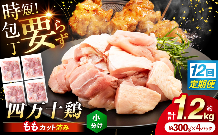 【12回定期便】四万十鶏もも肉 切身 約1.2kg （約300g×4パック） カットでかんたん 時短セット / 四万十鶏 もも肉 小分け 冷凍 カット 時短 【三栄ブロイラー販売株式会社】 [ATDP019]