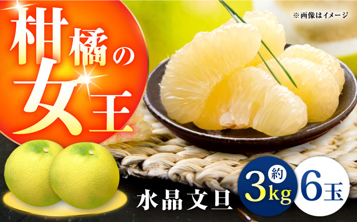 【9月下旬頃より発送】高知県産 水晶文旦 約3kg 6玉入 【株式会社　四国健商】 [ATAF032]