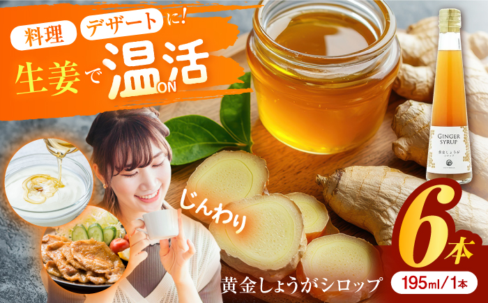 黄金しょうがシロップ6本/ 土佐生姜 ほっこりジンジャー【はるのTERRACE】 [ATAV008]