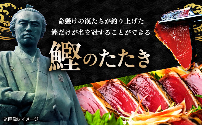 鰹たたき　約1.2kg ポン酢付き /高知 本格 カツオ 鰹 かつおたたき 瞬間冷凍 厳選 【株式会社　七和】 [ATAX016]